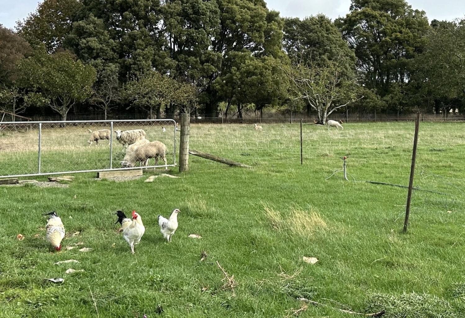 Country Retreats On Ranzau 2 Βίλα Νέλσον Εξωτερικό φωτογραφία
